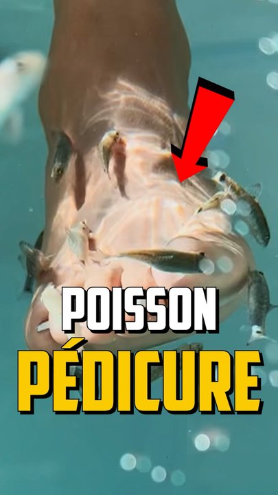 LE POISSON FÉTICHISTE DES PIEDS.