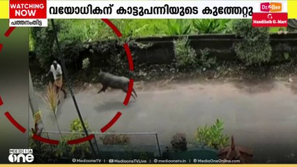 പത്തനംതിട്ട ആറന്മുളയിൽ പട്ടാപ്പകൽ കാട്ടുപന്നി ആക്രമണം; വയോധികന് പരിക്ക്