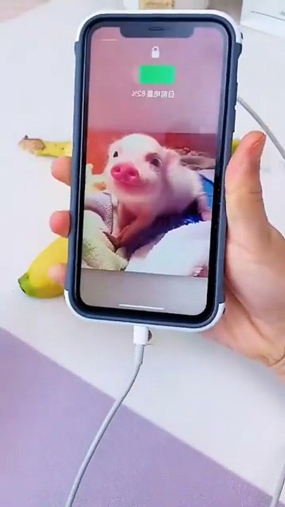 life pretty hacks Really?😲