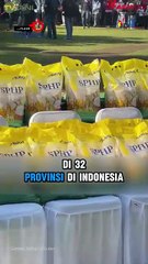 Harga Beras Turun, Mentan Tegaskan Jangan Terlalu Rendah dari HET