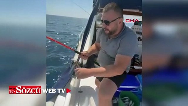 Saros Körfezi'ne atılan oltaya 25 kiloluk köpek balığı takıldı