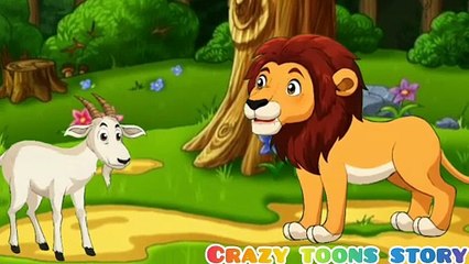 चालाक बकरी vs शेर सिंग