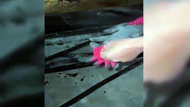 Arkadaşı tarafından öldürülüp, dondurma dolabının içinde boş araziye atılmış!