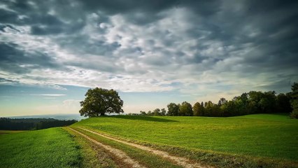 Beautiful Nature Sky View Tree and Clouds