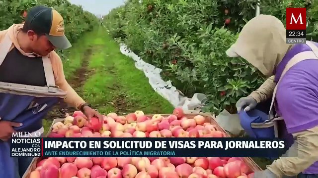 Jornaleros de Baja California denuncian trabas para conseguir visas de trabajo en EU