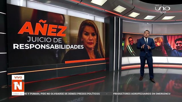 AÑEZ JUICIO DE RESPONSABILIDADES