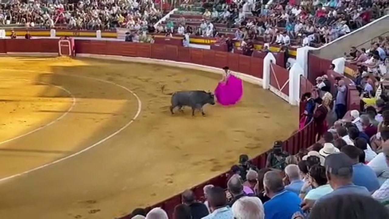 Cogida a Luis Miguel Vázquez en la corrida de toros de Daimiel