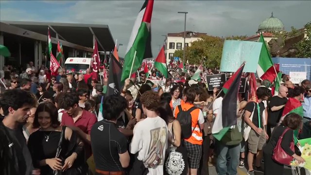 Thousands rally in support of Palestinians in Venice