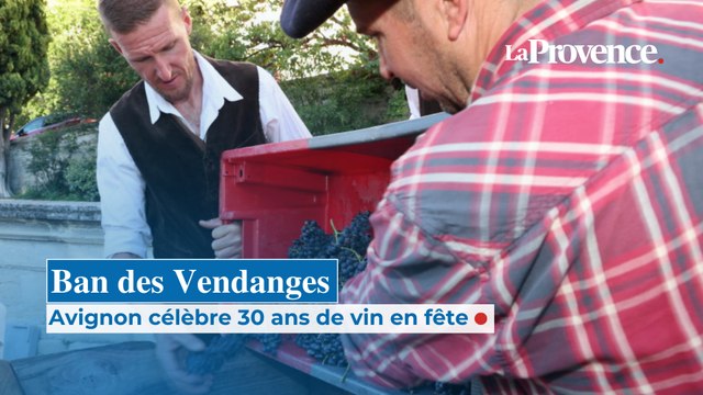 Ban des Vendanges : Avignon célèbre 30 ans de vin en fête