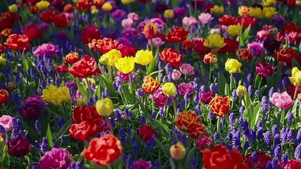 Great Gardens Europe S01E01