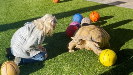 Basketball Solved A Tortoise's Anger Issues