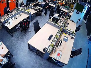 ShiftDelete'in patronu Hakkı Alkan, çalışanı Samet Jankovic'e saksı fırlattı