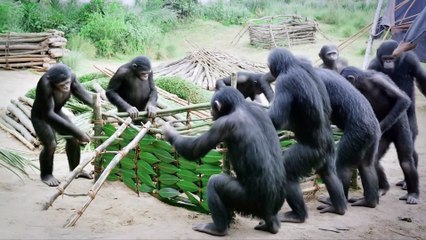 30,000 Years Ago ｜ How Prehistoric Humans Fought Giant Bears, Shared Food & Built Shelters