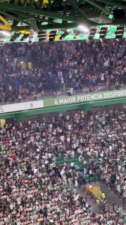 sporting vidros