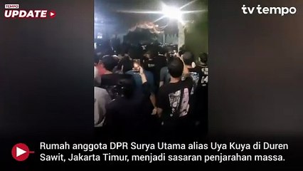 Kucing Mahal Uya Kuya Tak Luput dari Penjarahan Warga