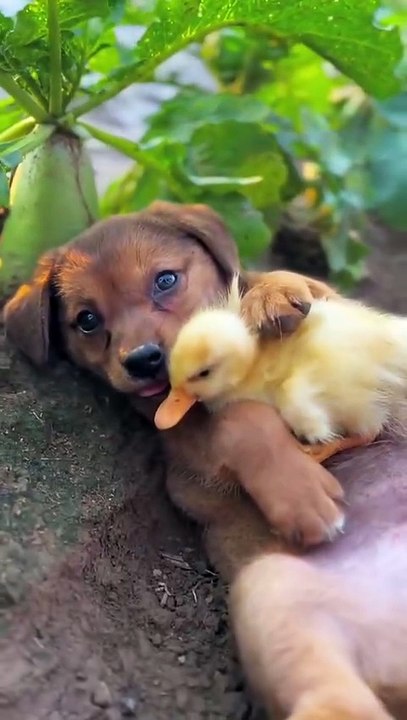 A beautifuf moment #14