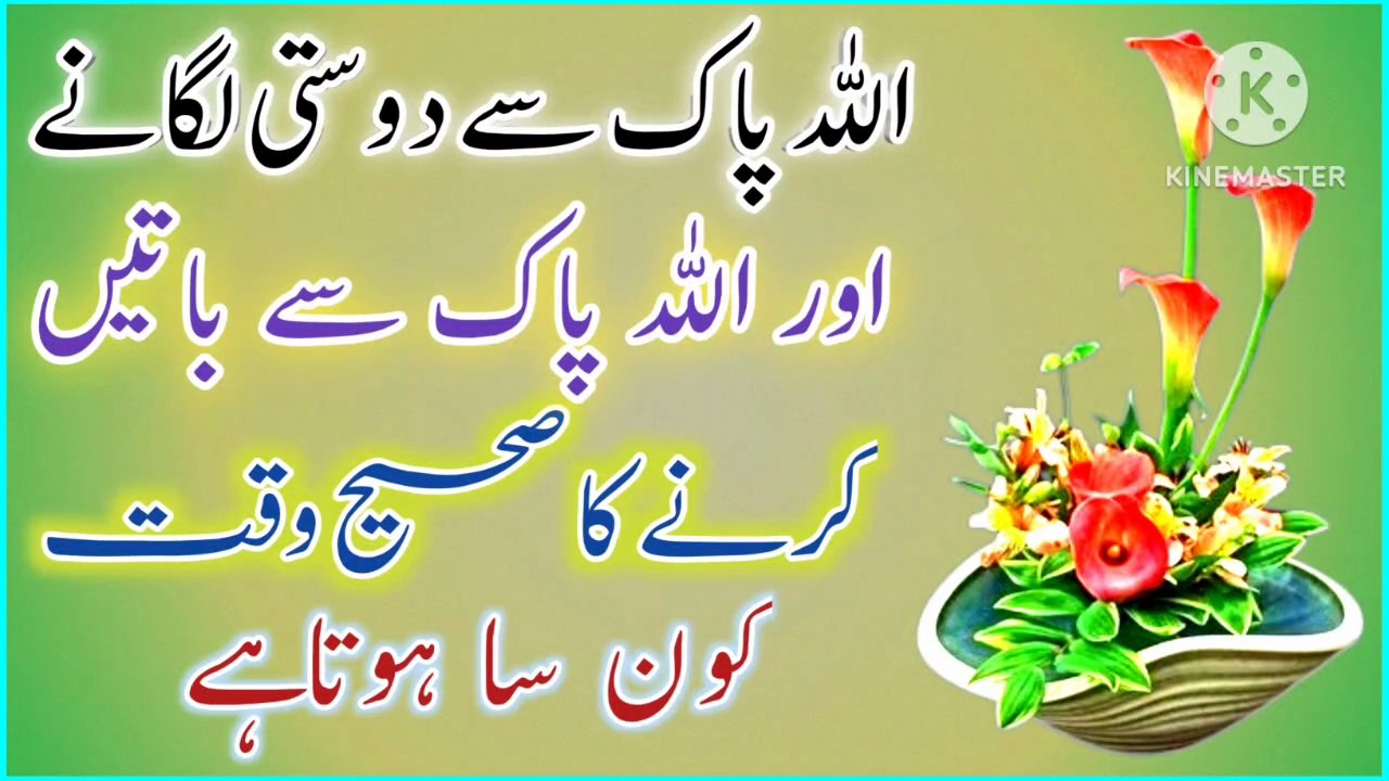 Allah Pak Se Dosti! Best Urdu Quotes🔥! Urdu Islamic Quotes💥! Islamic YouTube🔥! ISLAMIC URDU MEWAT Islamic Daily Motion Video