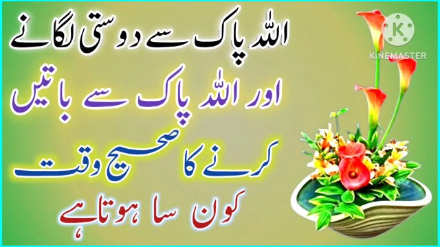 Allah Pak Se Dosti! Best Urdu Quotes🔥! Urdu Islamic Quotes💥! Islamic YouTube🔥! ISLAMIC URDU MEWAT Islamic Daily Motion Video