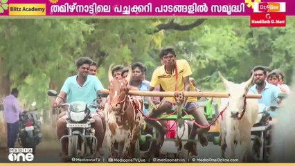 ഓണം മൂഡിലാണ് തമിഴിനാട്; വിപണി പിടിക്കാൻ കർഷകർ