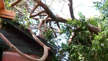 Wild weather causes more than a thousand calls for help in Victoria