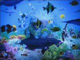 Tableaux cadre aquarium effet relaxant garantie