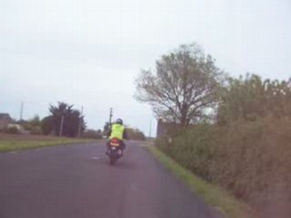 video rasso2