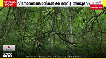 വിനോദസഞ്ചാരികൾക്ക് വേറിട്ട അനുഭവം നൽകി മാനന്തവാടിയിലെ മനുഷ്യനിർമിത വനം