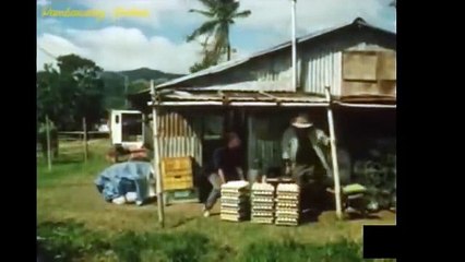 PINOY-BOLD-MOVIE-ITLOG-DIANA-ZUBIRI_