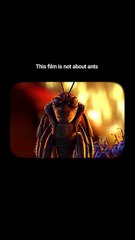 This wasn’t just about bugs. It was about waking up and rising up.