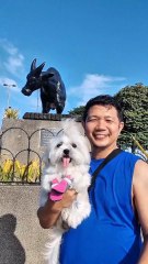 🔴 SUNDAY MORNING WALK AT LUNETA RIZAL PARK #shihtzu