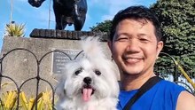 🔴 SUNDAY MORNING WALK AT LUNETA RIZAL PARK #shihtzu