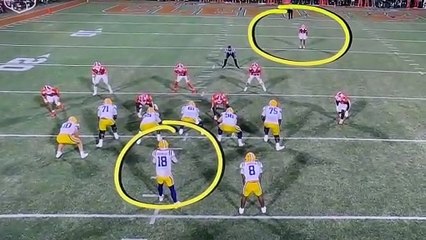 Clemson vs LSU: Referees Spark Outrage After Controversial Touchdown Call