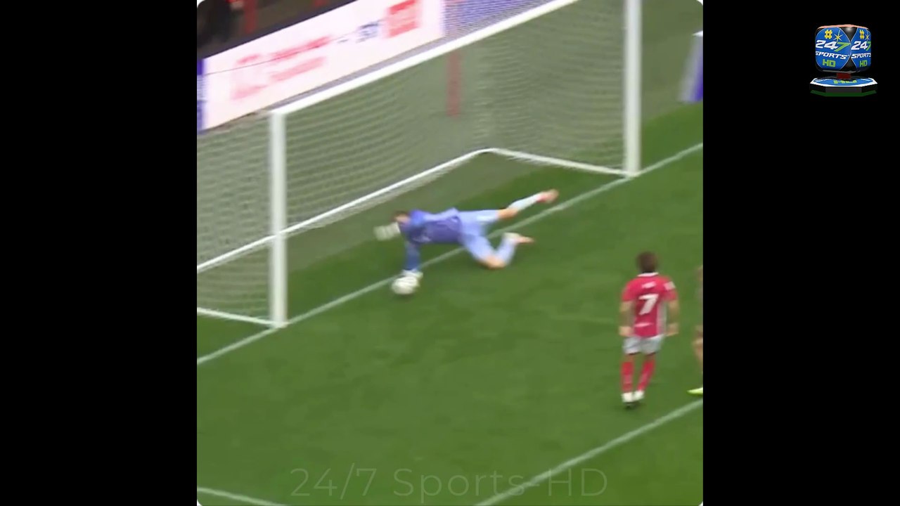 On-loan Manchester United goalkeeper Radek Vitek pulled off a 'ridiculous' save in Bristol City's 4-2 victory over Hull City on Saturday