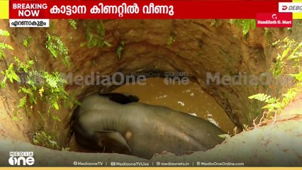 ' ഈ കിണറിൽ നിന്ന് ആനയെ കേറ്റിക്കൊണ്ട് പോകണം, പക്ഷെ ജനവാസമേഖലയിലൂടെ ഓടിച്ചുകൊണ്ട് പോകരുത്'