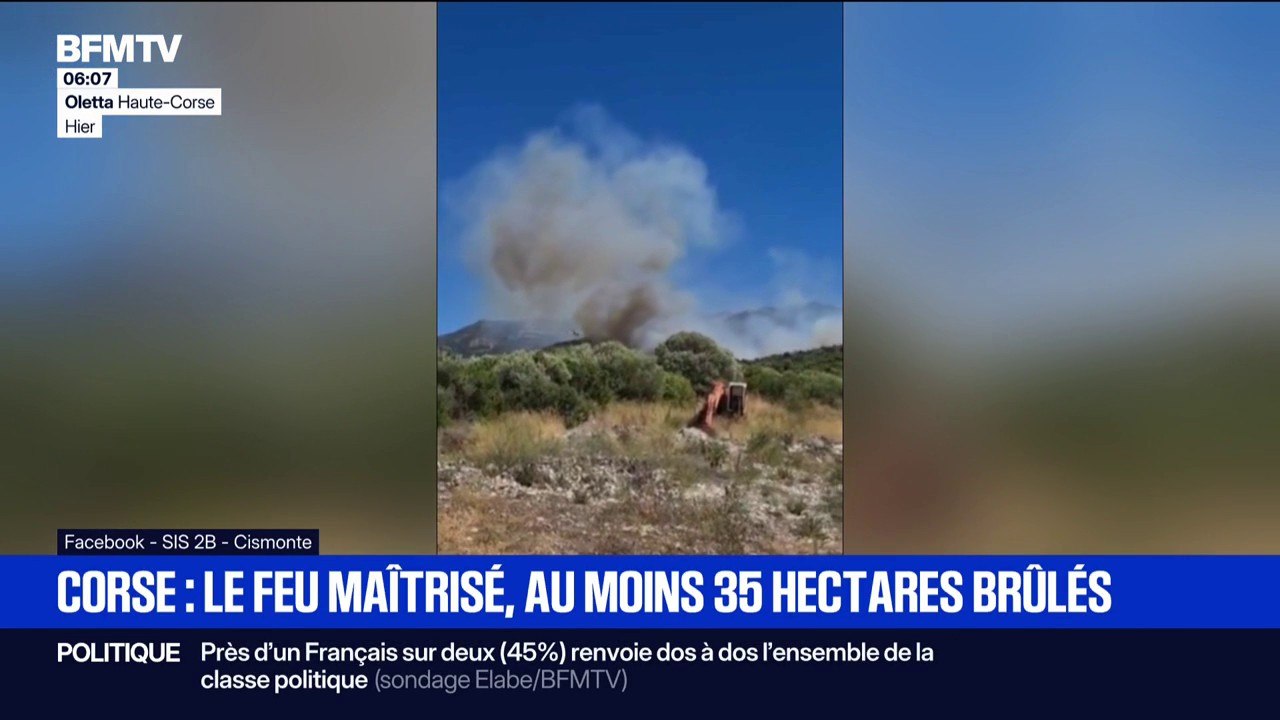 En Haute-Corse, les flammes ont ravagé 35 hectares de forêt. Aujourd'hui, l'incendie est fixé
