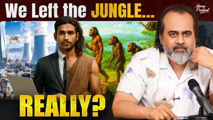 We moved out of the Jungle — Really? || Acharya Prashant, Dubai Tour (2025)