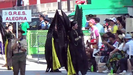【2025/8/30】第40回浅草サンバカーニバル パレードコンテスト　G.R.E.S. ALEGRIA