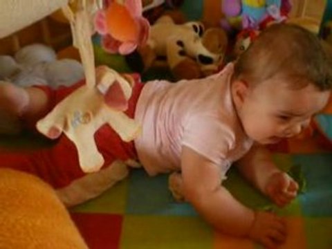 maïwenn tente le 4 pattes