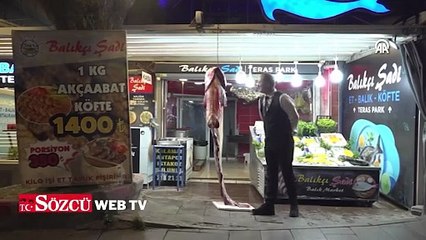 2 metre 20 santimetre uzunluğunda yayın balığı yakalandı