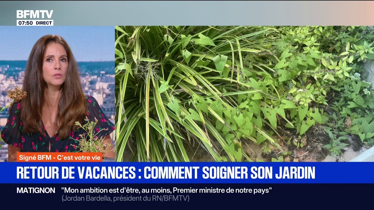 Signé BFM - Retour de vacances: comment bien soigner son jardin ?