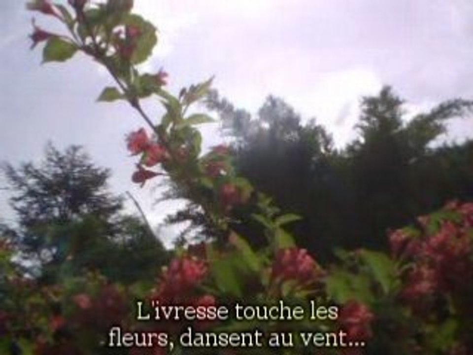 Fleurs au vent