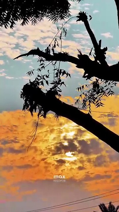 Sunset With Sad Song  My Village ❤ ❤  #maxrecords #villagelife #larkana #sindh #pakistan