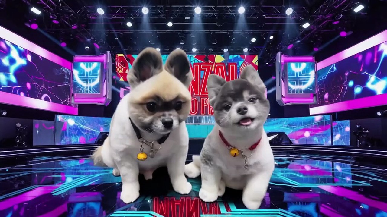 【衝撃デビュー】可愛すぎる犬の漫才師「銀ちゃんうたちゃん」爆誕！　[Shocking debut] The adorable dog comedian "Gin-chan Uta-chan" is born!