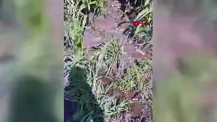 Bursa’daki yarım asırlık göleti kuraklık vurdu