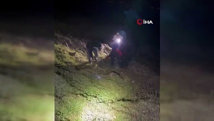 Yamaçtan düşerek mahsur kalan inek AFAD ekiplerince kurtarıldı