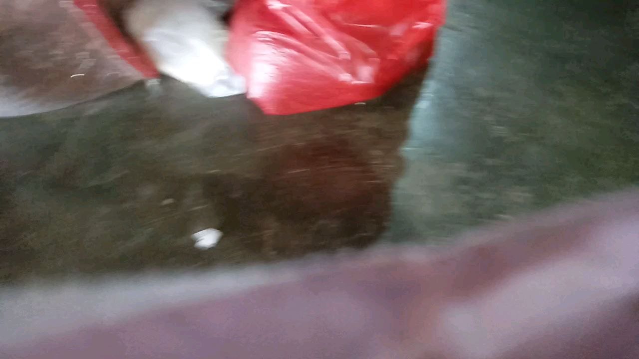 gh
