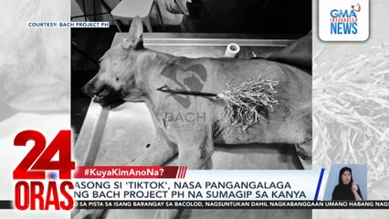 #KuyaKimAnoNa? Express - Aspin na si "Tiktok" na pinana noong Pebrero, masigla na ulit at nakitakbo pa sa fun run; atbp. | 24 Oras