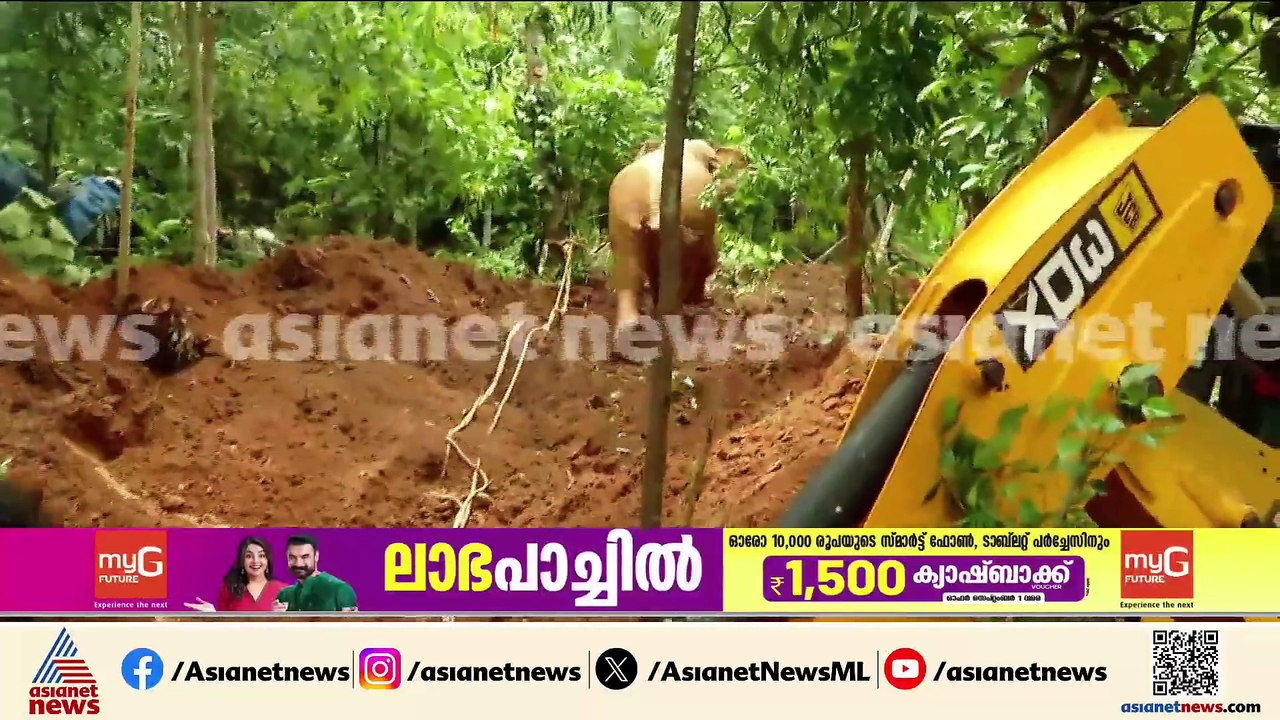 ദൗത്യം വിജയകരം; കോതമംഗലത്ത് കിണറ്റിൽ വീണ കാട്ടാ...