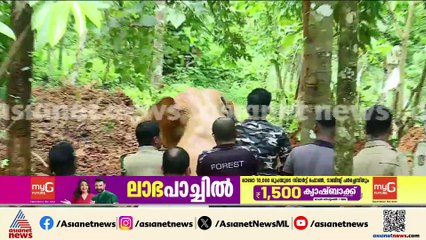 കോതമം​ഗലത്ത് കിണറ്റിൽ വീണ ആനയെ രക്ഷപ്പെടുത്തി കാട് കയറ്റി