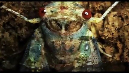 La carpa del miedo (Arbor Demon) - Película de Terror completa en español